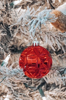 Photo by Koushalya  Karthikeyan: https://www.pexels.com/photo/red-bauble-on-a-christmas-tree-branch-among-string-lights-19317248/