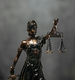 Photo by Pavel Danilyuk: https://www.pexels.com/photo/close-up-shot-of-a-statuette-of-lady-justice-8112203/