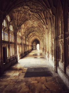 Photo by Pixabay: https://www.pexels.com/photo/brown-concrete-hallway-415585/